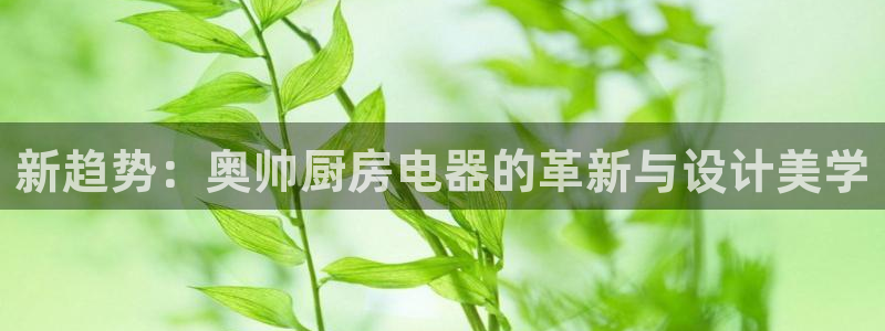 菲律宾风暴娱乐集团