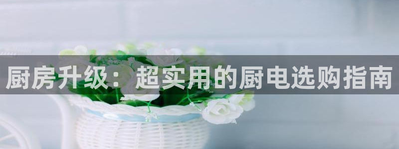 风暴娱乐平台地址