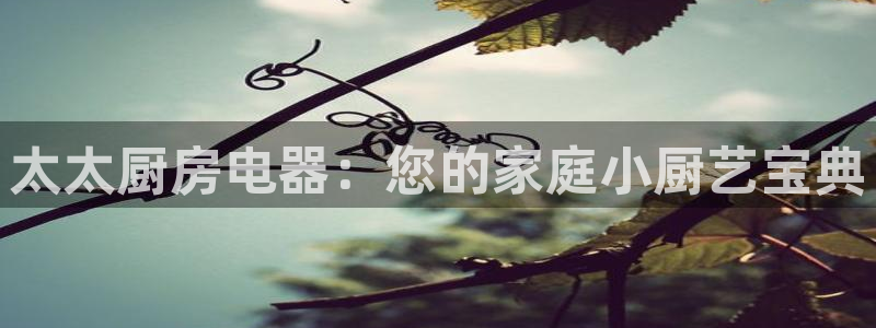 风暴娱乐老板