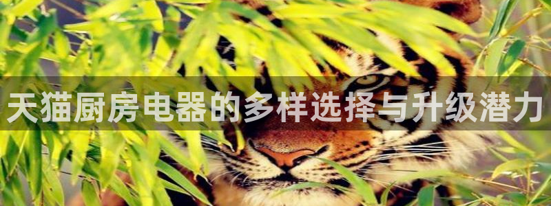 风暴娱乐点