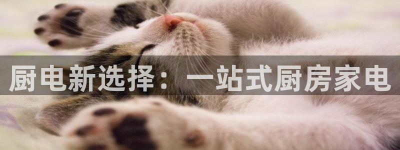 娱乐风暴系统