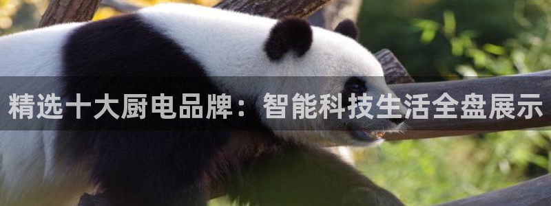 风暴娱乐去人l8888
