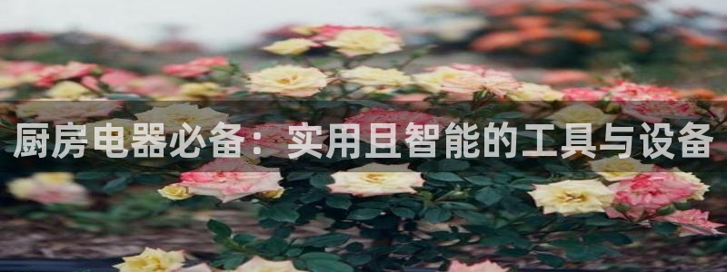 风暴娱乐开户