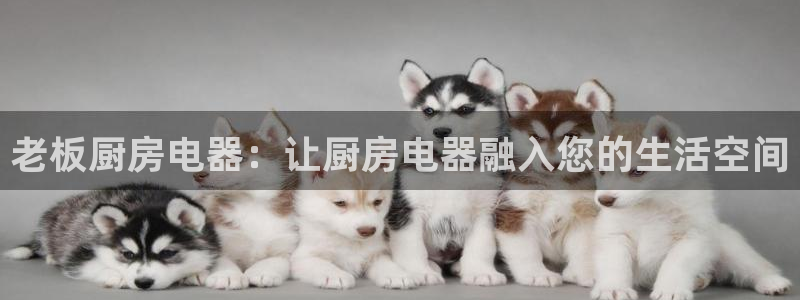 光风暴娱乐