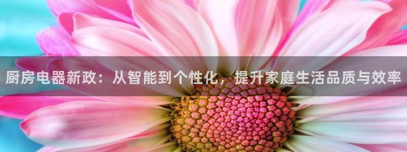 风暴娱乐图片