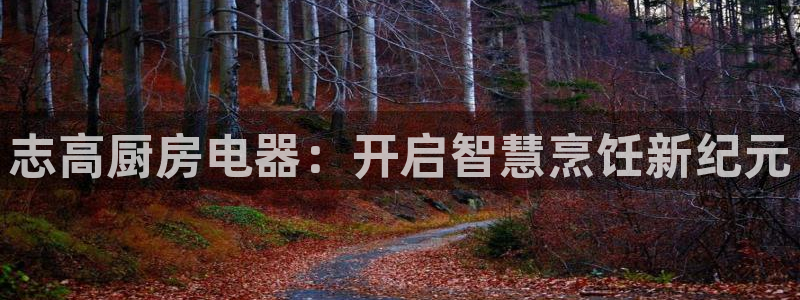 风暴娱乐字图片大全
