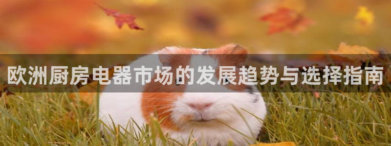 娱乐风暴港
