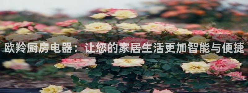 风暴娱乐套路