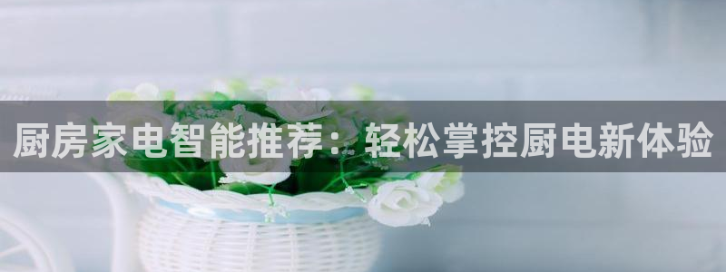风暴娱乐平台地址