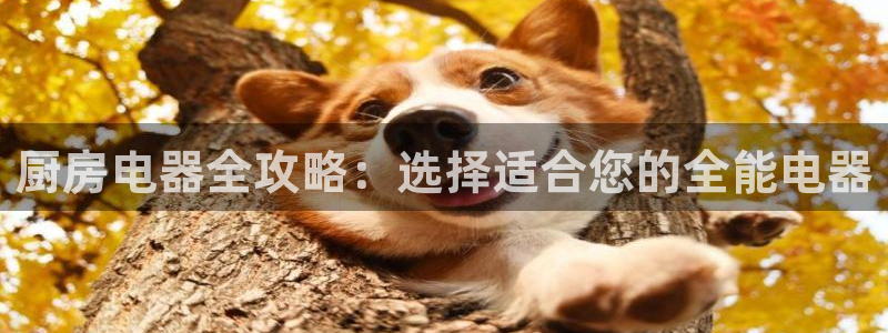 风暴娱乐有5指尖