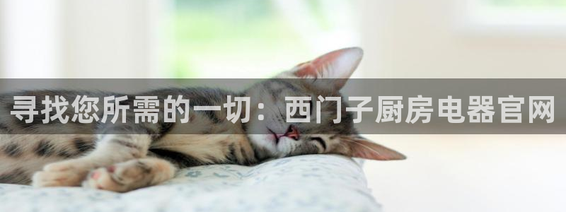 风暴娱乐求333OOa