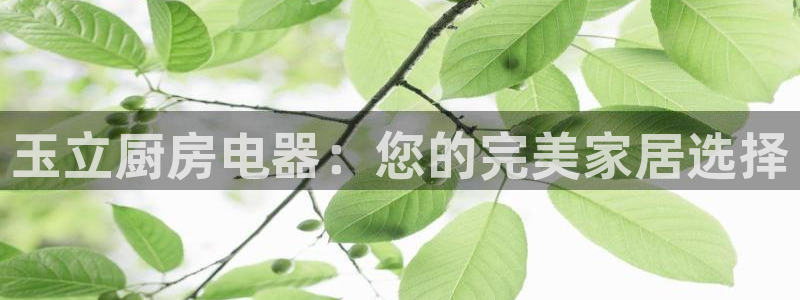 风暴娱乐平台地址