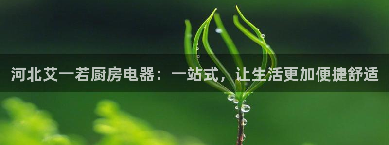 4120051风暴娱乐