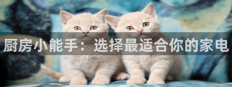 风暴娱乐官方网站