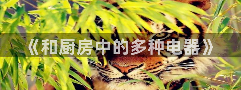 风暴娱乐眼