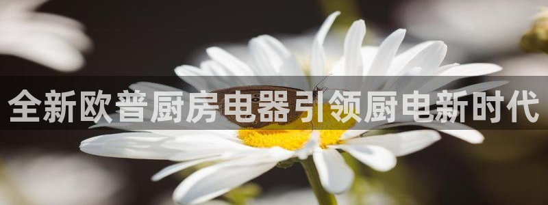 风暴娱乐提现