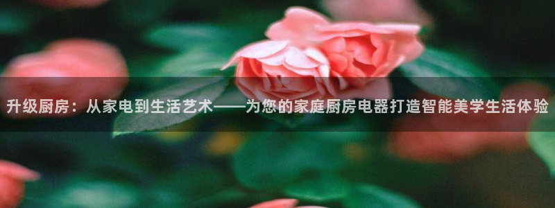 风暴娱乐部
