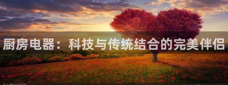 风暴娱乐344272