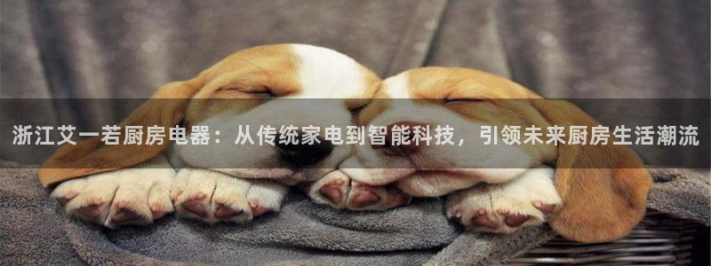 娱乐星空风暴