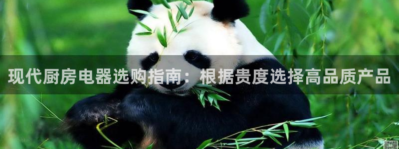 风暴娱乐银川