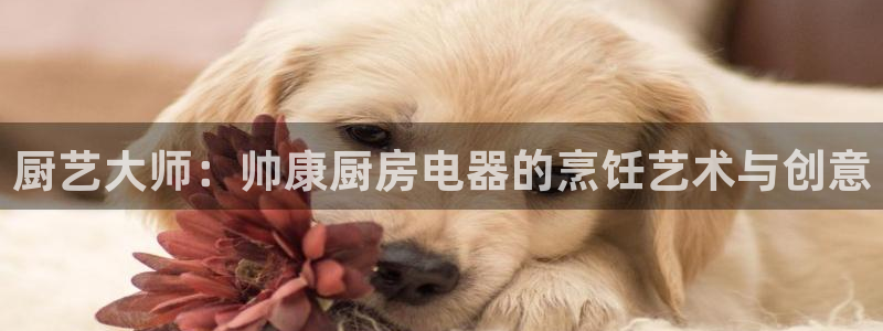 风暴娱乐去人l8888