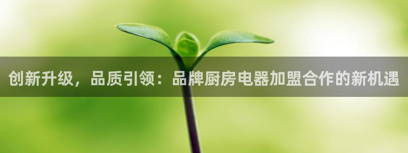 风暴娱乐有5指尖