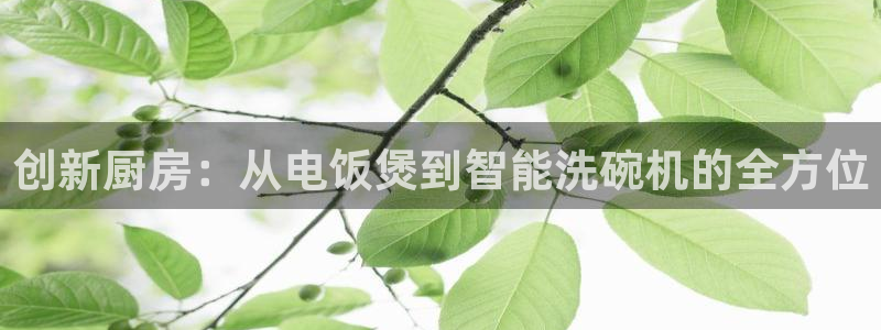 风暴娱乐地5指尖