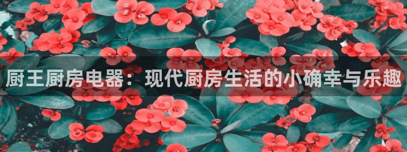 风暴娱乐这个平台靠谱