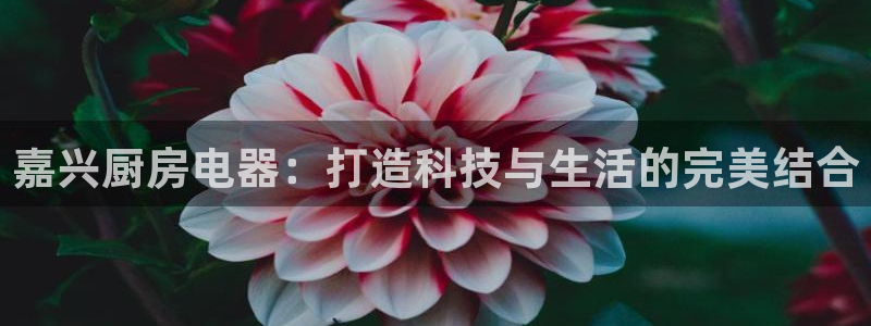 风暴娱乐求333OOf