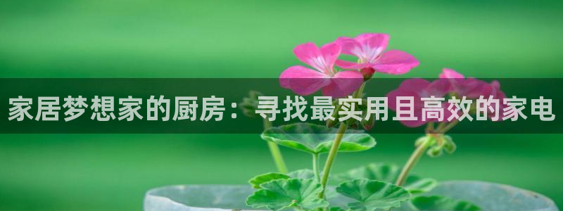 风暴娱乐汇