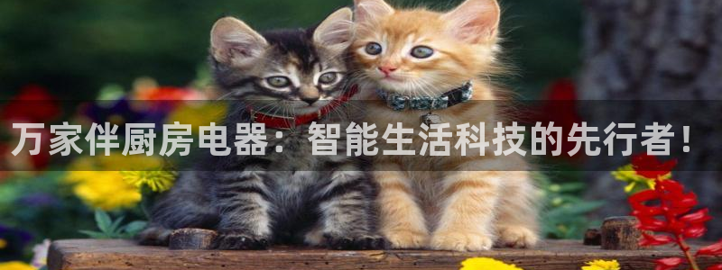 风暴娱乐客服