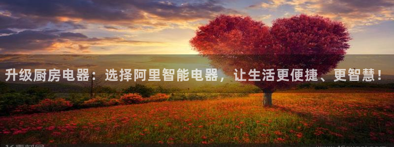 娱乐风暴合集