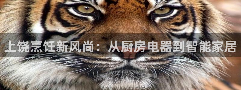 风暴娱乐 北京