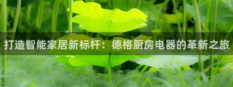 风暴娱乐求333OOa
