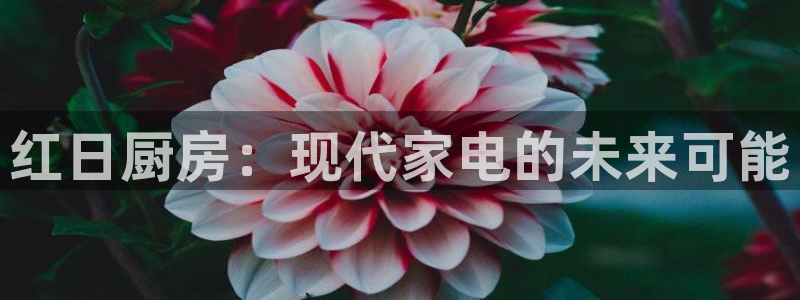 风暴娱乐图片
