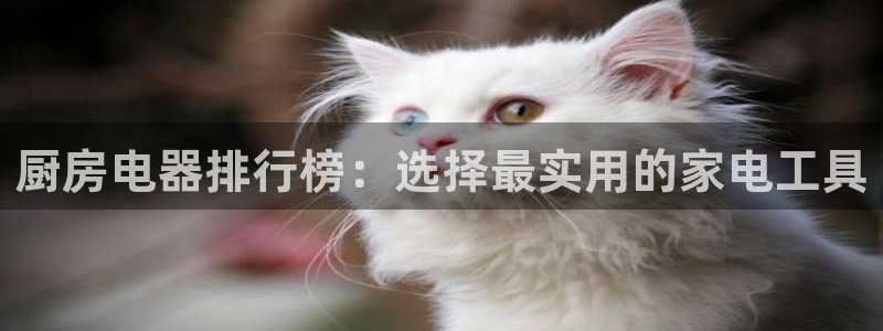 风暴娱乐 北京
