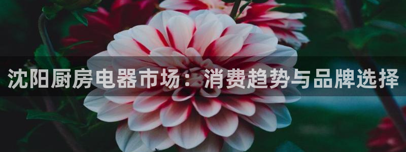 风暴娱乐去人l8888