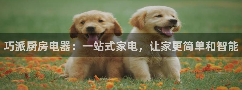 娱乐风暴二