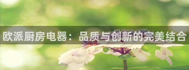 风暴娱乐网