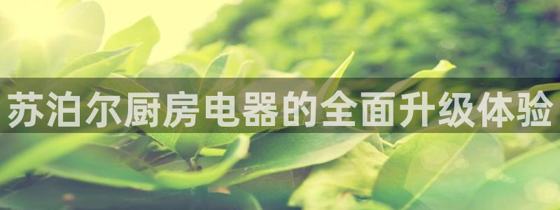 光风暴娱乐
