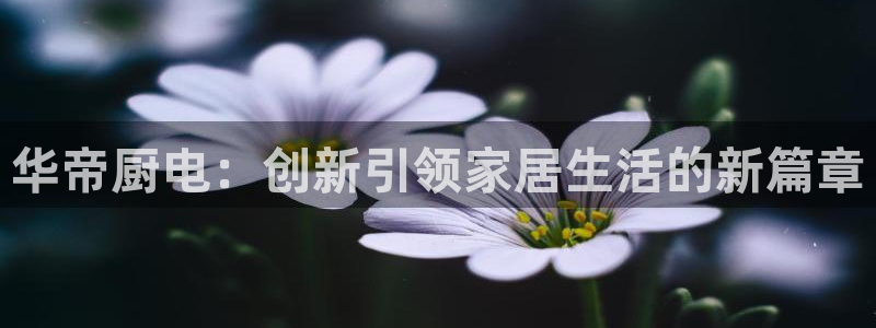 娱乐风暴二