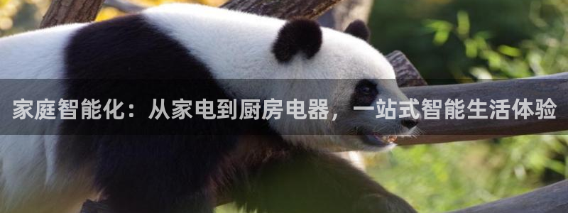 风暴数字娱乐