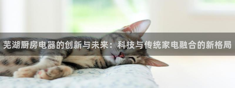 风暴娱乐 平台首页
