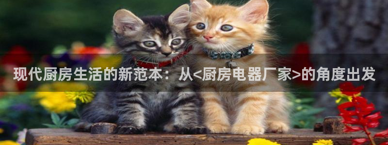 风暴娱乐记