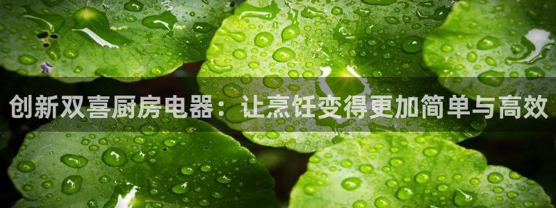 风暴娱乐派对