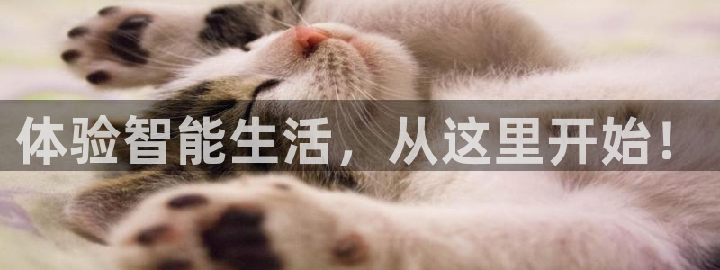 风暴娱乐求333OOa