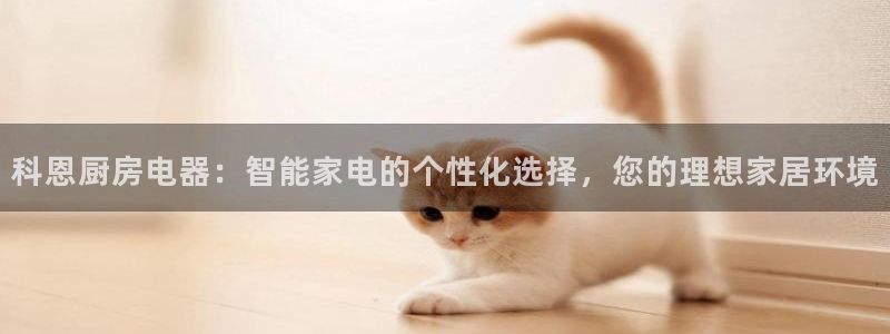 风暴娱乐老板