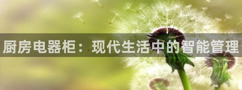 风暴娱乐fb