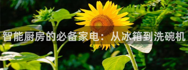 风暴娱乐1980