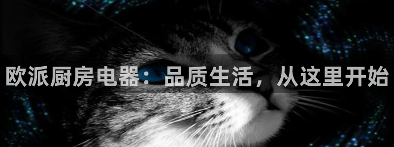 风暴娱乐号